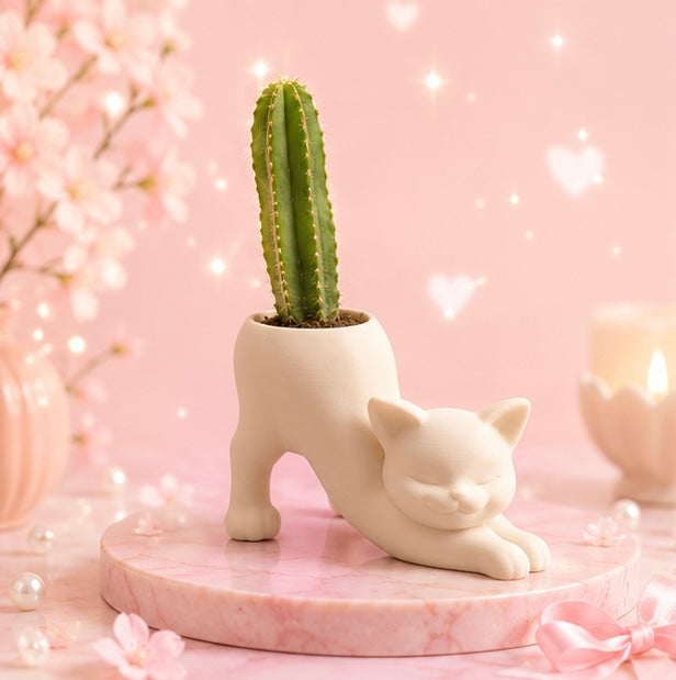 Stretching Kitty Planter