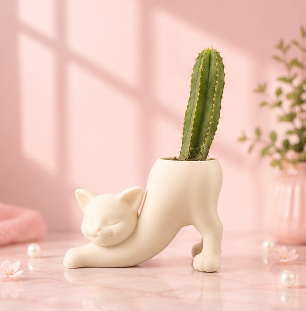 Stretching Kitty Planter
