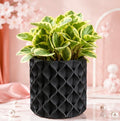 Luna Wave Planter
