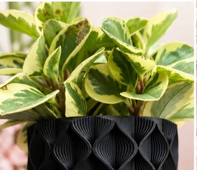 Luna Wave Planter