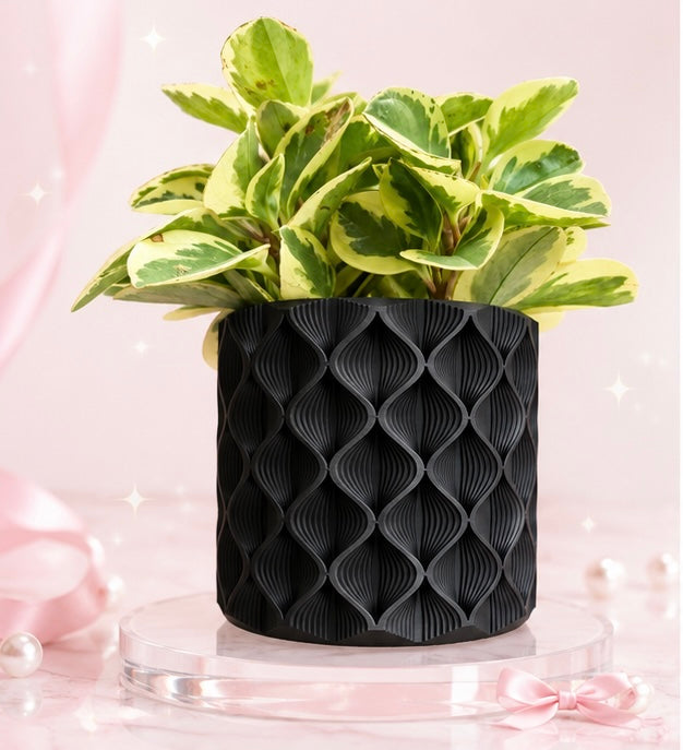 Luna Wave Planter